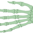 Mano - copia.png Hands skeleton decoracion dizfraz