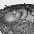 17.jpg NEWBORN BABY SLEEPING ON THE WINGS 3D print model