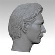 N7.jpg Leon:The Professional Norman Stanfield HEAD SCULPTURE 3D PRINT MODEL