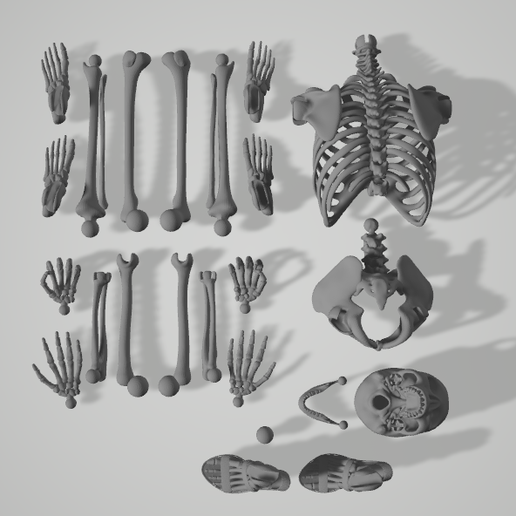 Las_Catrinas_Long_Neck_and_Heels.png La Catrina (female skeleton) and El Catrin