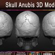 Skull-Anubis-3D-Model-Creature-Sculpted-by-Yacine-BRINIS-Set-011.jpg Skull Anubis