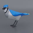 Jay-front.png Standing Blue Jay