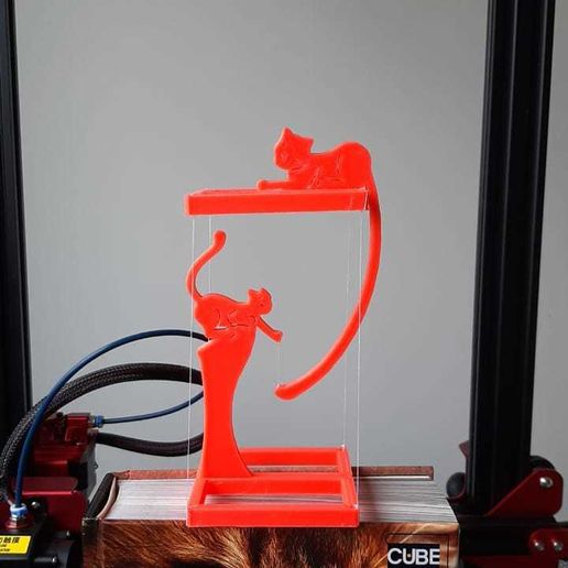 2.jpeg TENSÉGRITÉ DES CHATS