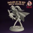 DarkElf_STL_var2.jpg Dark Elf Assassin - Dwellers of the Deep