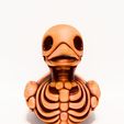 0022.jpg Duck Minimalist Skeletal toy
