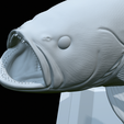 White-grouper-open-mouth-1-59.png fish white grouper / Epinephelus aeneus trophy statue detailed texture for 3d printing