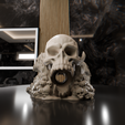 r2.png Skull Castle with holes inside