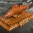 IMG_7758.jpg fish sculpture of a zander / pikeperch with storage space for 3d printing