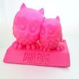 owls_thingiverse_display_large.jpg Baby Gift: Cuddling Owls on Name Plate