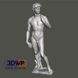 David.JPG David By Michelangelo Sculpture (Statue 3D Scan)