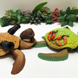 0111.png Sailor and Pirate Captains, Turtles, Articulated, Flexy, Toy