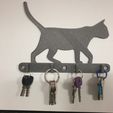 20220121_083747.jpg Cat wall key ring
