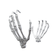 5.png STL-Datei Skelett-Handaufsätze für Airpods Max・Design für 3D-Drucker zum herunterladen
