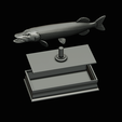 northern-pike-statue-box-1-2-1-21.png fish NORTHERN PIKE (ESOX LUCIUS) open mouth with storage space / for 3d printing
