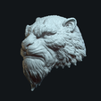 11.png Tiger