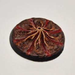 Base de hormiguero GRATIS | 40mm