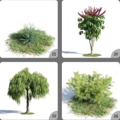 xR-LVvaY.jpeg Archivo 3D Planta Árbol Y Flores Modelo 3D 53-56・Objeto imprimible en 3D para descargar