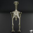 Kelenken-skeleton-7.png Kelenken guillermoi - terror bird skeleton 3D print model