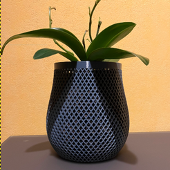 Screenshot-from-2024-01-10-06-46-56.png Orchid pot - curved wide