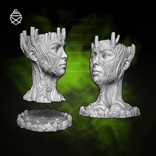 Sacred-Tree_PipeCox_14.jpg Священное дерево