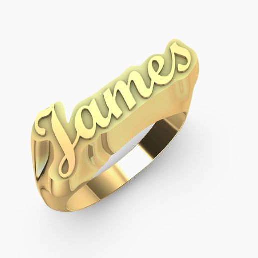 james-ring-16.2.jpg james logo signet ring