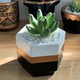 3d-printed-mold-2.jpg 3D Printed Molds - Planters cement mold
