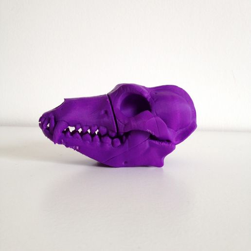 bonehead_1.jpg Descargar archivo STL gratis BONEHEADS: Wolf Skull & Jaw Bone - PROMO - 3DKITBASH.COM • Diseño para impresión en 3D, Quincy_of_3DKitbash