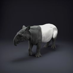 Malayan_tapir_1.jpg STL-Datei Malaiischer Tapir・3D-druckbare Vorlage zum herunterladen, AnimalDenMiniatures