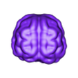 CEREBRO.stl DULCERA CRANEO