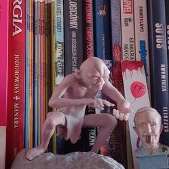 001.jpg Gollum / Sméagol