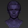 30.jpg Spider-Man Tom Holland bust 3D printing ready stl obj formats