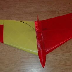 Speedy001.jpg Free STL file SPEEDY - a 3D-printable RC-Flying-Wing・3D printable model to download