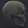 Prev.700.jpg 头骨 3D 打印模型