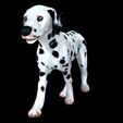 01.jpg DOG - DOWNLOAD Dalmatian 3d model - Animated for blender-fbx- Unity - Maya - Unreal- C4d - 3ds Max - CANINE PET GUARDIAN WOLF HOUSE HOME GARDEN POLICE  3D printing DOG DOG