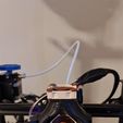 Ender 3 Briss fang Gen2, Rote Echse, Spider, Revo, Libelle, etc.