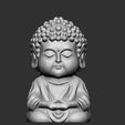 buddha.jpg little buddha
