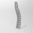 4.jpg SPINE WITHOUT SUPPORTS PROFESSIONAL MEDICINE
