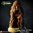 4.jpg The Witch - Character sculpt for 3D printing and rpg games