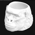 Screenshot from 2020-04-04 11-33-12.png Vase - Ape Head