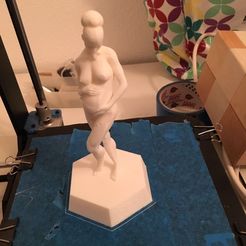 IMG-20160525-WA0021.jpg Nude Pregnant Female with platform