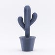 d56fd055985daf35e1c40e5b1561d861_1446490247069_NMD000201-223_@2x.jpg Free STL file Cacti with Pots・3D printable model to download