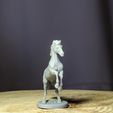 8.jpg Horse Pack for D&D, Tabletop Games and Collectors. 3 Poses Gallop, Trot and Rearing, bases included 32mm scale.