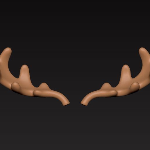 zz-2081909.jpg Moose Antler