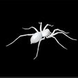spider2.jpg Spider