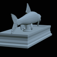 Gudgeon-statue-26.png fish gudgeon / gobio gobio statue detailed texture for 3d printing