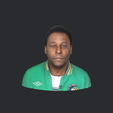 model.png Pele-bust/head/face ready for 3d printing