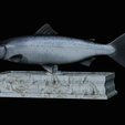 Salmon-statue-box-1-18.png fish sculpture of a Atlantic salmon / salmo salar with storage space / for 3d printing