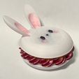 IMG_6807.jpeg Macaron rabbit 🐰 - kawaii food