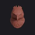 martial_eagle_0001.jpg Martial Eagle Head Bust Wall Mount
