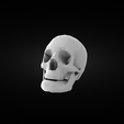 skull01-render1.png Skull